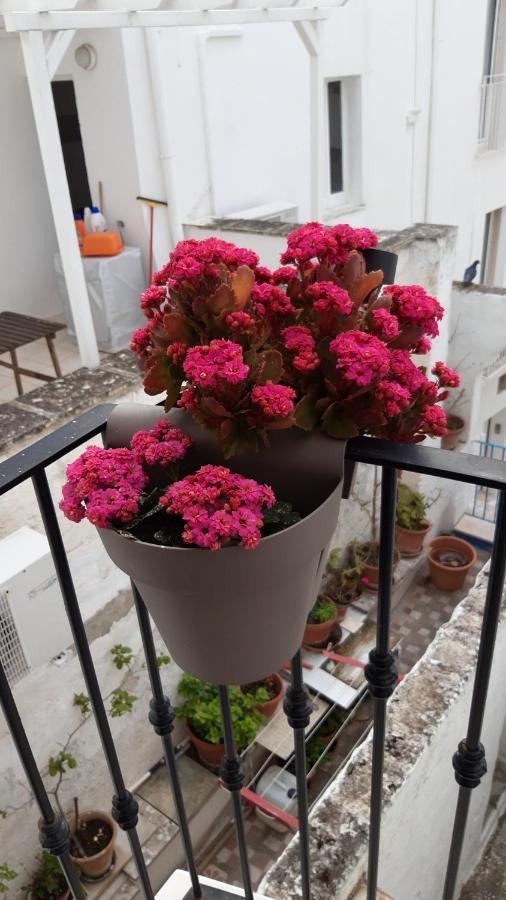 Che Bella Vita! 莫诺波利 外观 照片